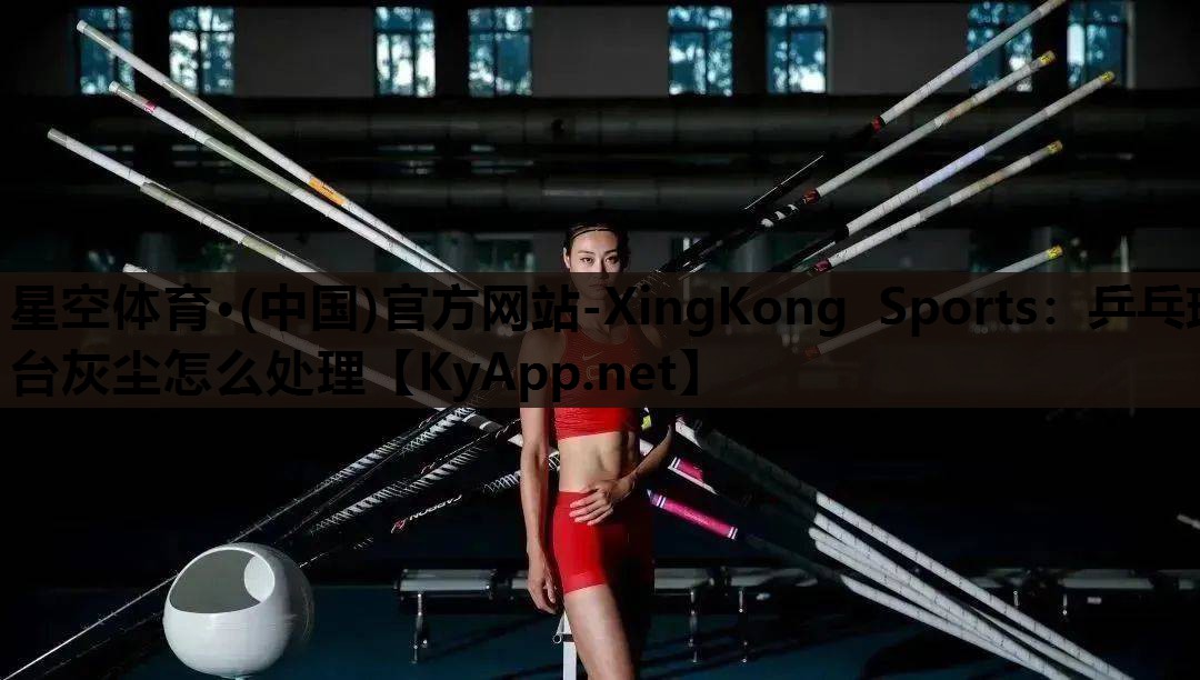 星空体育·(中国)官方网站-XingKong Sports：乒乓球台灰尘怎么处理