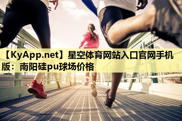 南阳硅pu球场价格